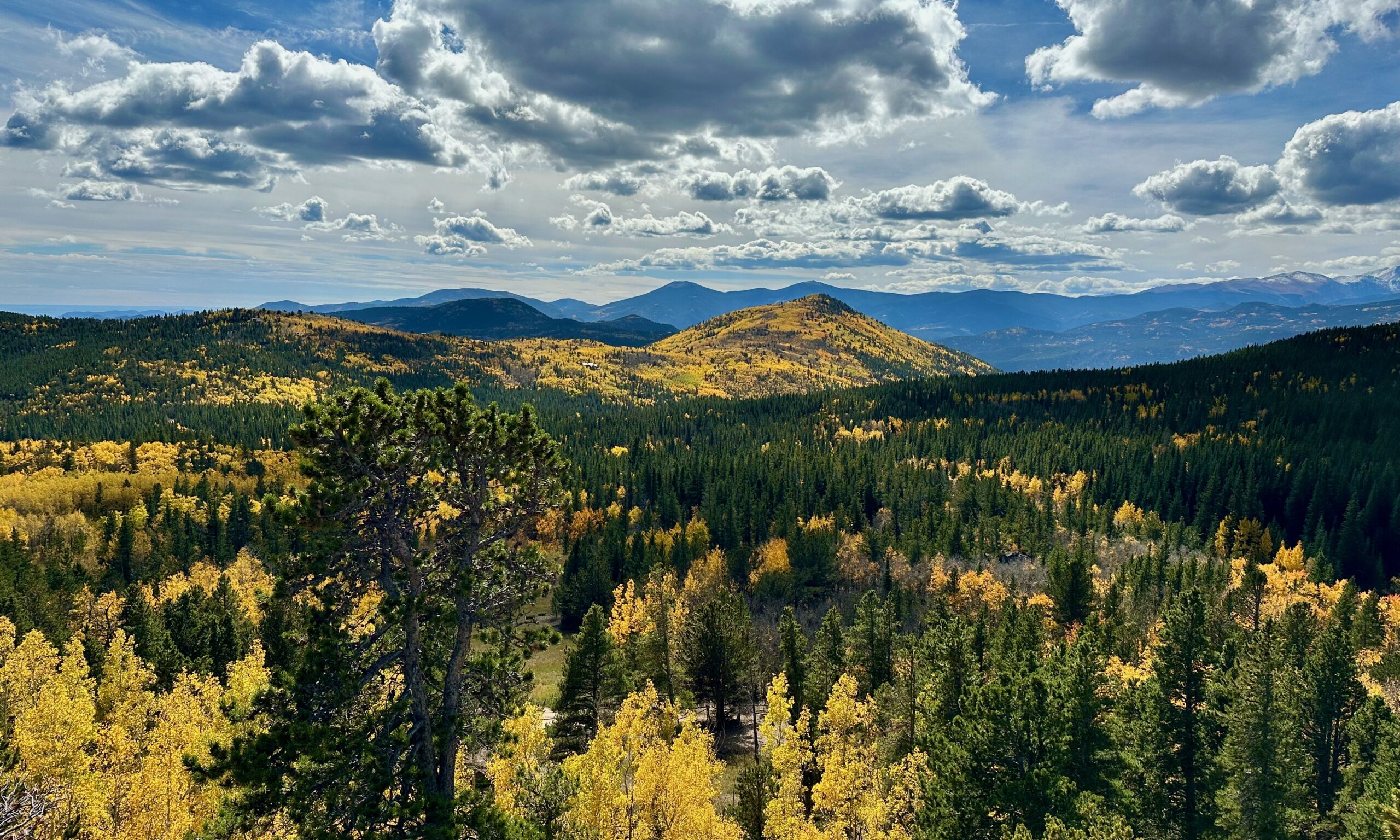 IMG_7817 fall colors in blackhawk